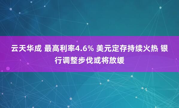 云天华成 最高利率4.6% 美元定存持续火热 银行调整步伐或将放缓