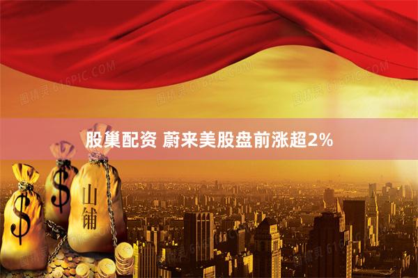 股巢配资 蔚来美股盘前涨超2%