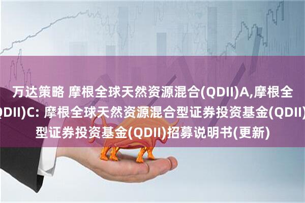 万达策略 摩根全球天然资源混合(QDII)A,摩根全球天然资源混合(QDII)C: 摩根全球天然资源混合型证券投资基金(QDII)招募说明书(更新)